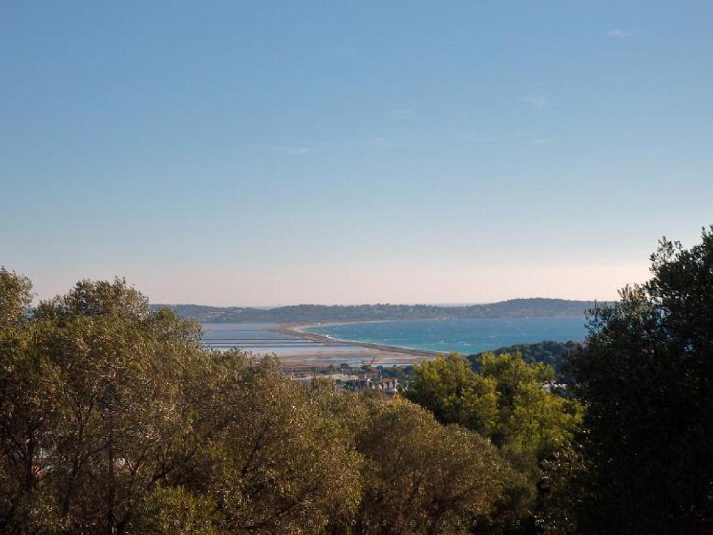 183 HYERES ET SES PALMIERS D15_000054.jpg